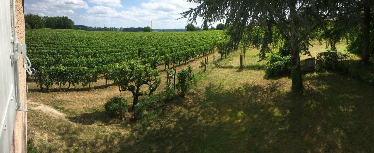 Mirande Montagne-Saint Emilion Apartment Montagne  Ngoại thất bức ảnh