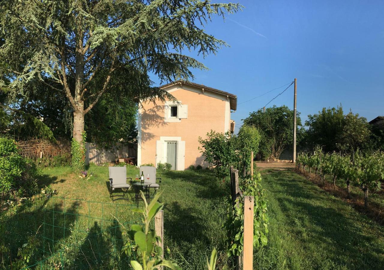 Mirande Montagne-Saint Emilion Apartment Montagne  Ngoại thất bức ảnh